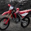 2021 Honda CRF250L and CRF250L Rally launched in Japan – full makeover, new frame, less weight