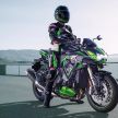 Kawasaki Z H2 SE terima suspensi elektronik Skyhook