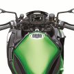 Kawasaki Z H2 SE terima suspensi elektronik Skyhook
