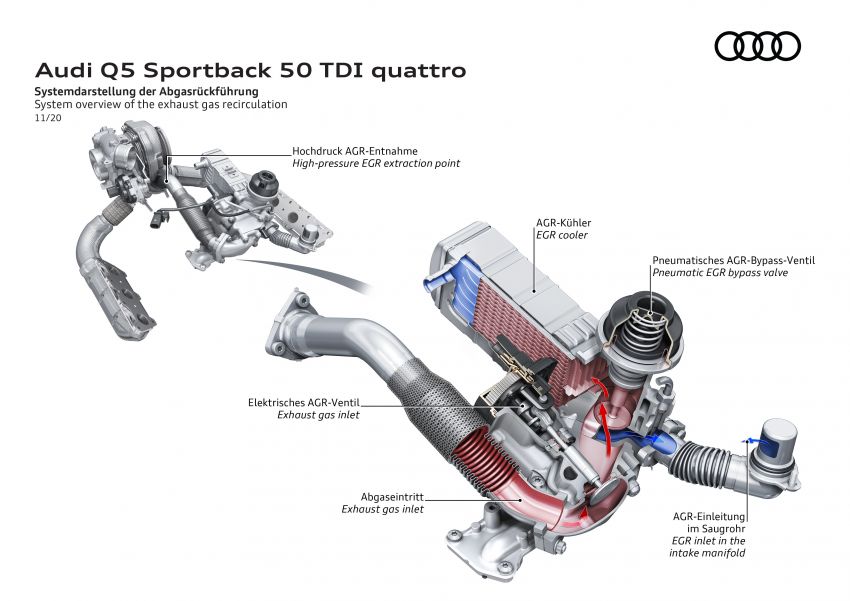 MEGA GALLERY: 2021 Audi Q5 and SQ5 Sportback 1239412