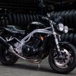 Triumph Speed Triple, a legacy of triple-cylinder speed