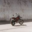 2021 Ducati Scrambler Desert Sled Fasthouse limited edition celebrates Mint 400 Hooligan Class race win