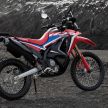 2021 Honda CRF250 Rally now in Malaysia, RM27,599