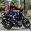 REVIEW: 2021 Husqvarna Vitpilen 401 – off-road hooliganism now comes with on-road manners