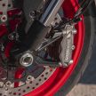 Ducati Monster 2021 – pilihan grafik dan aksesori asli