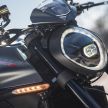 Ducati Monster 2021 – pilihan grafik dan aksesori asli
