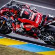 Suzuki wins Endurance 24 hour race at Le Mans