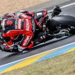 Suzuki wins Endurance 24 hour race at Le Mans