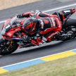 Suzuki wins Endurance 24 hour race at Le Mans