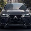 2022 Lexus NX sighted in Malaysia – local launch soon