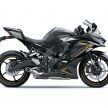 2022 Kawasaki ZX-25R Ninja new colours for Indonesia