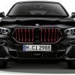 BMW X5 G05, X6 G06 Black Vermillion Edition didedah