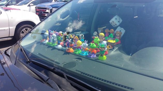 Dashboard accessories are potentially injurious: MKJR
