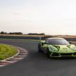 Lotus Emira GT4 race car revealed – 2022 track debut