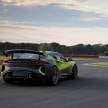 Lotus Emira GT4 diperkenal – ganti Evora GT4 di litar