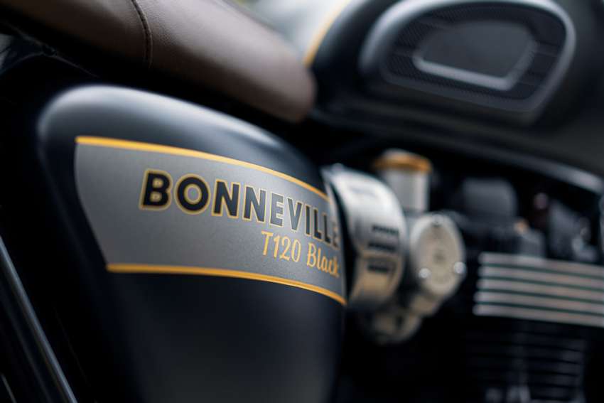 Triumph perkenal edisi Gold Line untuk enam model Bonneville – cat dua tona, pinstripe warna emas 1367262