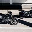 Harley-Davidson Low Rider S and ST 2022 didedah