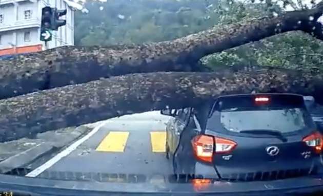 Tree falls on Perodua Myvi in Wangsa Maju – another reason Special Perils insurance add-on is a must