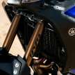 2022 Yamaha Tenere 700 World Raid dials it up to 11