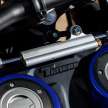 2022 Yamaha Tenere 700 World Raid dials it up to 11