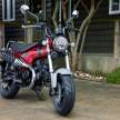 2022 Honda ST125 Dax for minibike lineup in Europe