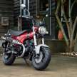 2022 Honda ST125 Dax for minibike lineup in Europe