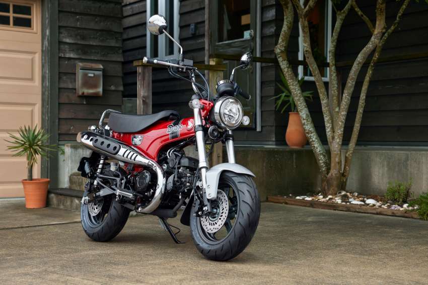 2022 Honda ST125 Dax for minibike lineup in Europe 1433094