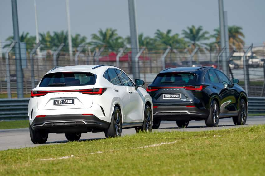 Lexus NX 2022 di Malaysia — spesifikasi dan perincian lokal, NX 250 Luxury, NX 350 F Sport, dari RM371k 1454843