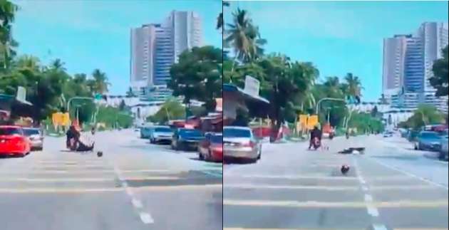 MBPP tebang 19 pokok kelapa, elak insiden buah kelapa gugur atas pengguna jalan raya berlaku lagi