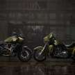 2022 Harley-Davidson Pan America 1250 Special and Tri Glide Ultra G.I. limited editions honour US military