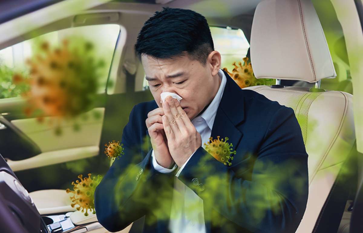 Get rid of musty odour and pollution out of your automotive