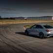 Audi RS3 Performance Edition – 407 PS, 300 km/h top speed, adaptive suspension; limited run of 300 units