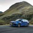 Audi RS3 Performance Edition – 407 PS, 300 km/h top speed, adaptive suspension; limited run of 300 units