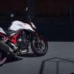 2023 Honda CB750 Hornet launched at Intermot