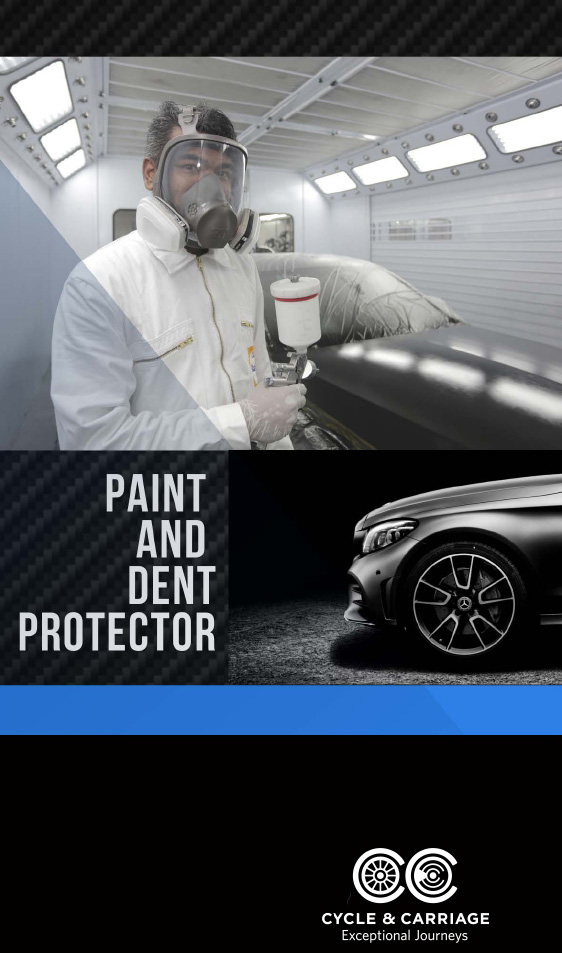 Cycle & Carriage Paint and Dent Protector-1