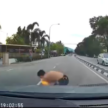 Boy dives into path of moving car, group of witnesses suddenly appear – get dashcam to foil possible scams