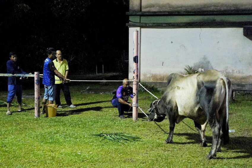 Prolintas agih daging korban kepada 600 keluarga asnaf sempena sambutan Hari Raya Aidiladha 2023 1635240