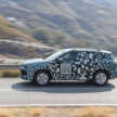 2024 Volkswagen Tiguan leaked before debut – MQB evo platform; more boot space; TDI, TSI, eTSI, eHybrid