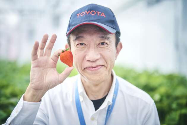 Toyota tanam strawberi dan tomato ceri di kilang bagi percepat usaha ke arah neutral karbon, bantu petani