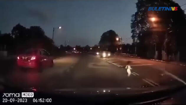 Two-year-old runs across road into oncoming traffic – drivers, be mindful of young passengers in your car