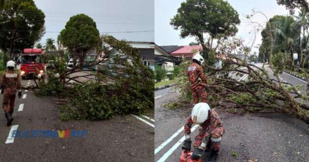 Falling trees damage cars in Johor – get special perils insurance for vehicle coverage against storm damage