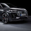 Audi RS Q6 e-tron EV to debut next year with over 600 PS; more comfort-oriented than Porsche Macan Turbo