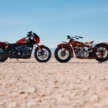 Next generation Indian Scout line-up for 2024/5