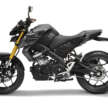 2024 Yamaha MT-15 new colour for Malaysia, pricing up by RM200 to RM12,498
