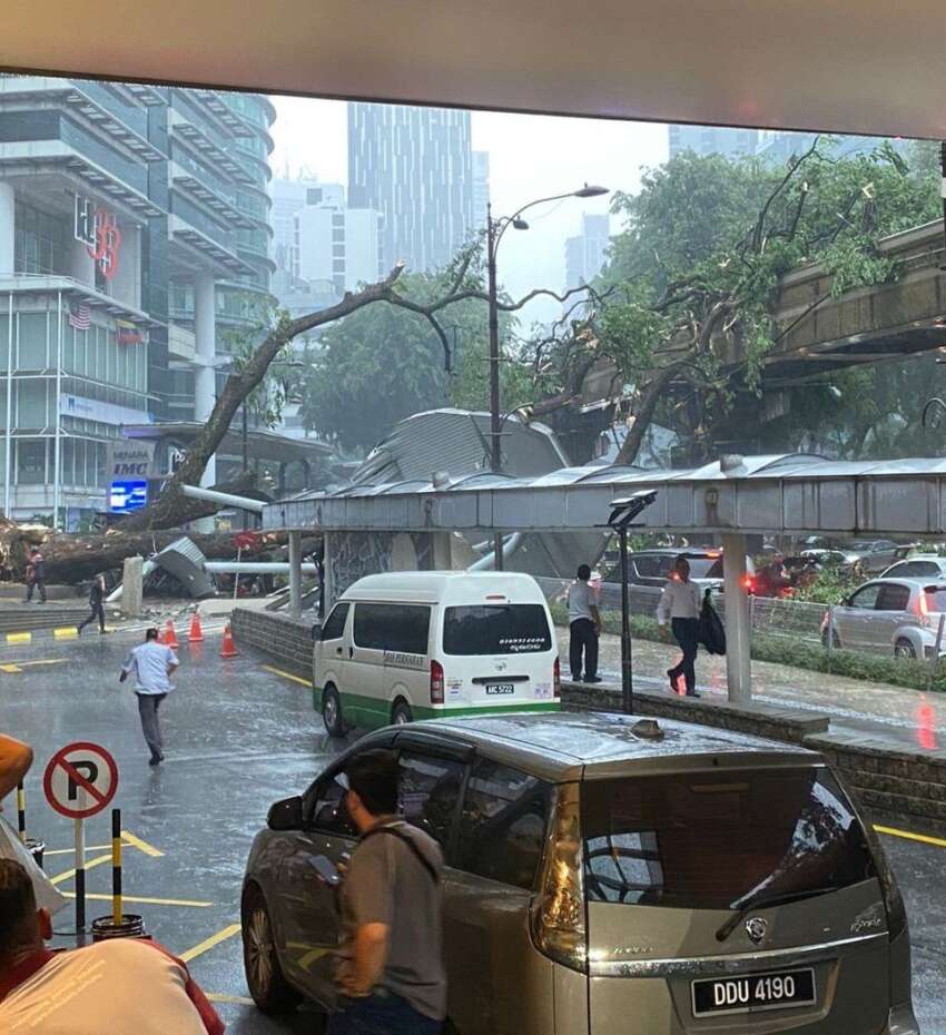 Monorail service between KL Sentral, Medan Tuanku suspended due to fallen tree – feeder bus provided 1760999