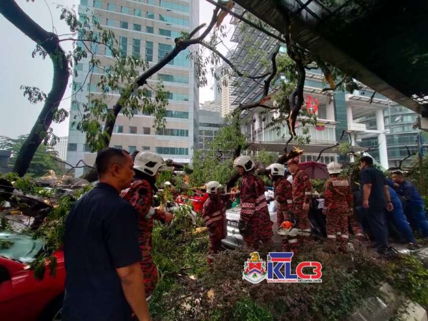 Monorail service between KL Sentral, Medan Tuanku suspended due to fallen tree – feeder bus provided 1761000