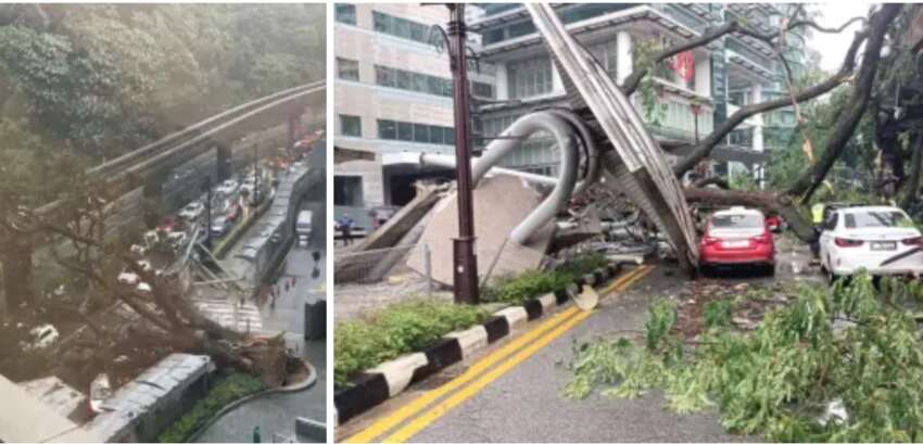 Monorail service between KL Sentral, Medan Tuanku suspended due to fallen tree – feeder bus provided 1760965