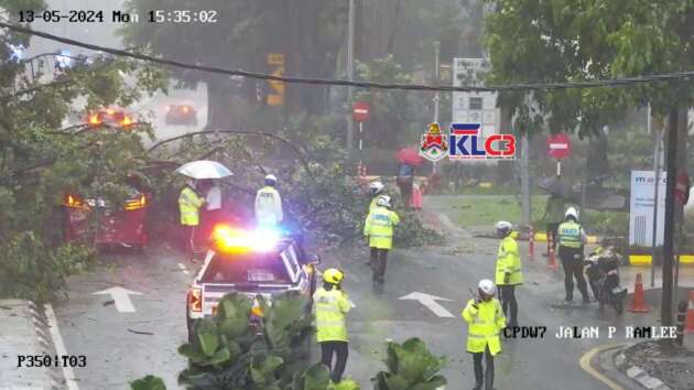 Satu lagi insiden pokok tumbang di Kuala Lumpur akibat hujan lebat – Jalan Pinang ditutup sementara