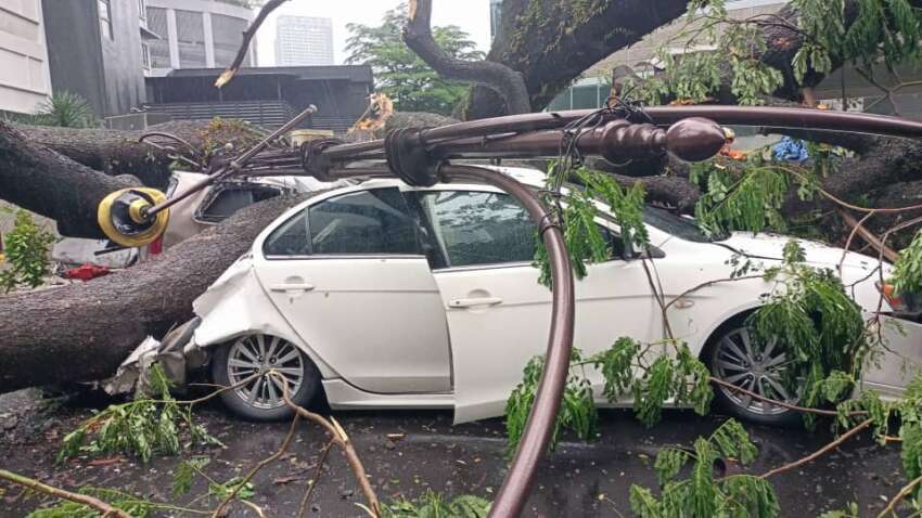 Fallen tree along Jalan Sultan Ismail causes damage to vehicles – Concorde Hotel stretch closed to traffic 1761049