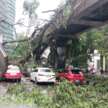 Fallen histrion   on  Jalan Sultan Ismail causes harm  to vehicles – Concorde Hotel agelong   closed to traffic